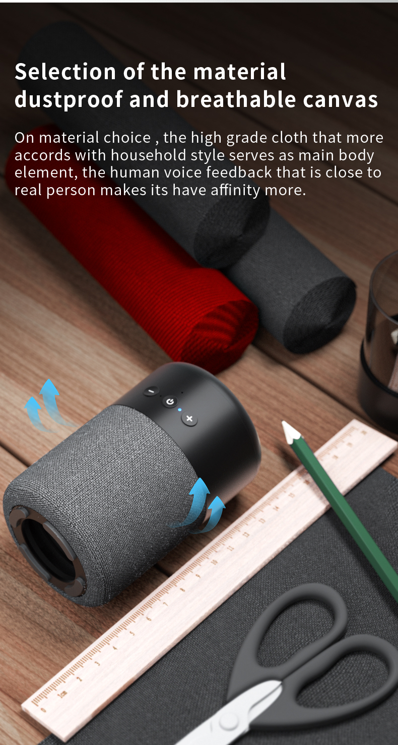 Pelios B20 2-in-1 Bluetooth Speaker & Earbuds
