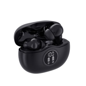 ANC Earbuds Meaning